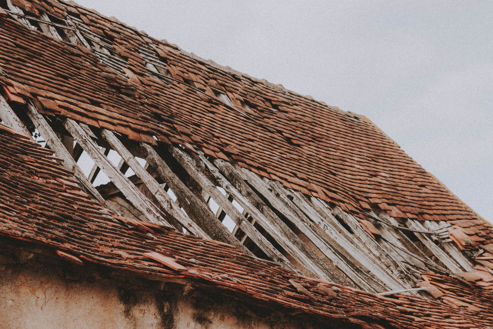 hail damaged roof shingles New Orleans renovation