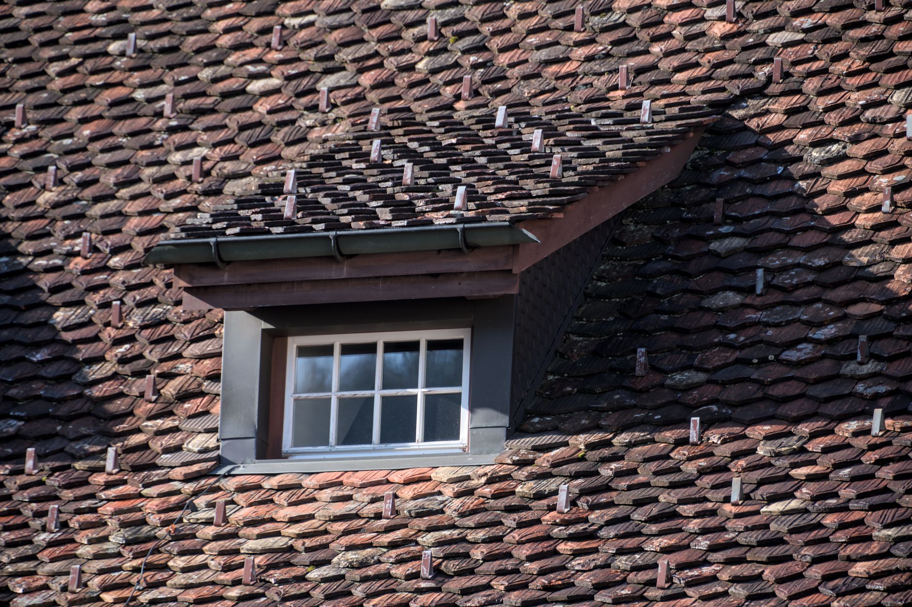 roof inspection shingles close-up New Orleans renovation